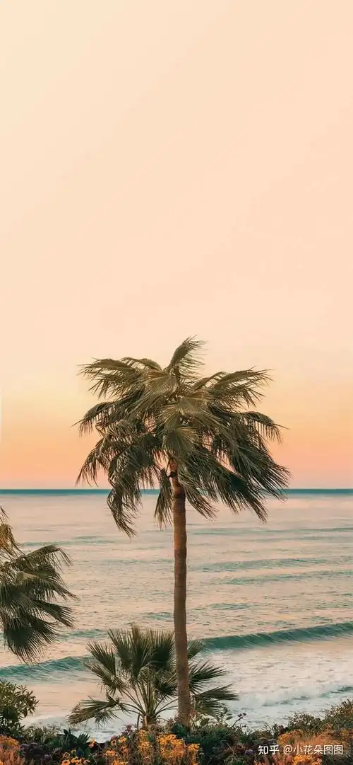 手机壁纸 | 意境感十足的风景壁纸 - 知乎