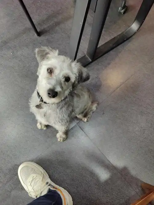 这也算歪头杀么