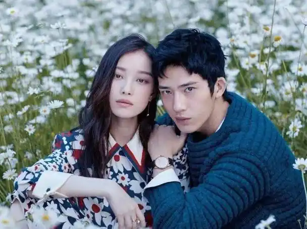 分手6年后,再看井柏然境遇,才发现他和倪妮本就不是"一路人"