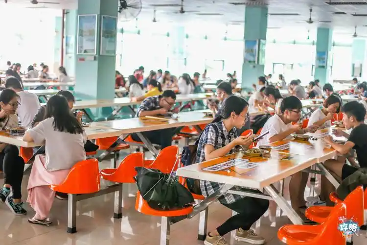 睇睇别人家学校的饭堂:"有广药的陪"胖",才是最长情的告白"