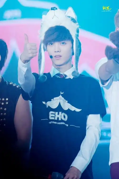 歌手鹿晗##鹿晗