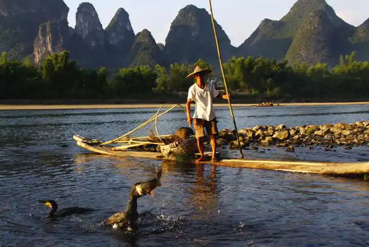 摄影:漓江捕鱼人