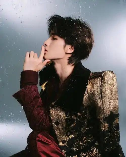 朱正廷纪述##朱正廷柳月