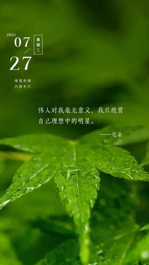 关于绿色的句子(关于绿色的句子抖音)