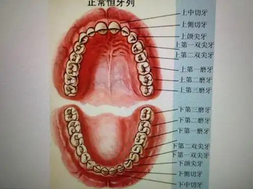 "保护牙齿,从小做起."——旧馆镇时代幼儿园中班组健康活动.