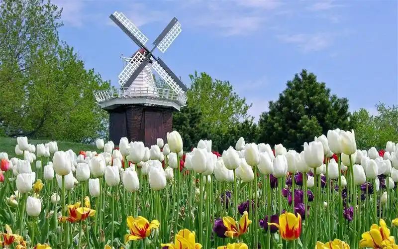 形婚_形式婚姻-世界正在偷偷奖励善良的人-【形友网】