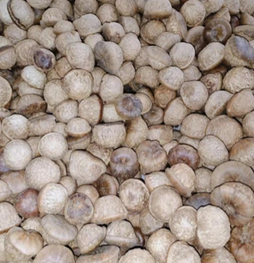 风流果野生壮阳果龟头子滋补养生果