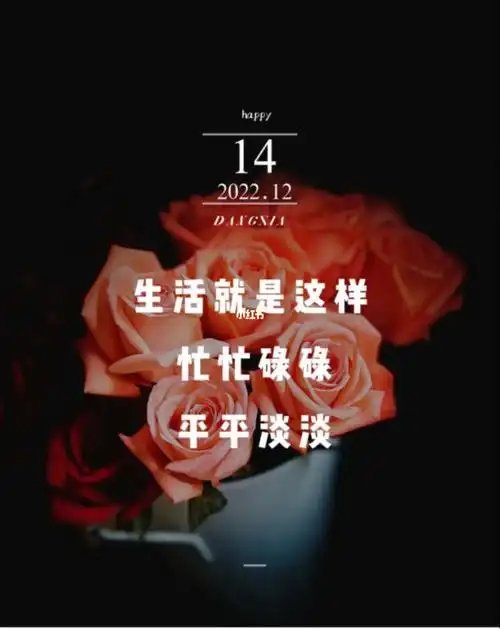 生活就是这样忙忙碌碌平平淡淡