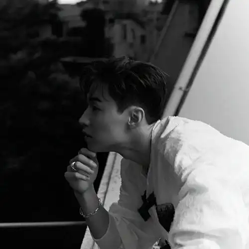 头像|刘宪华头像