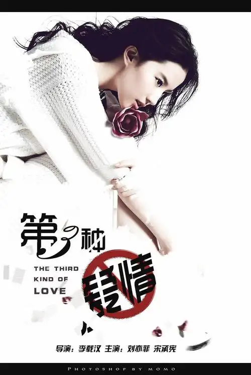 第三种爱情 海报