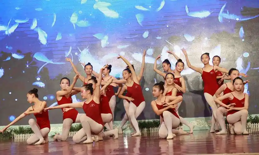 大荔新世纪舞蹈艺术学校23周年校庆:精彩的演出给观众带来一场"舞蹈