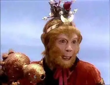 (  孙悟空和紫金红葫芦  )