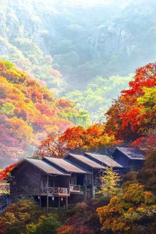 治愈系风景美丽乡村