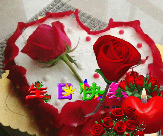 《 祝福老师 生日快乐 》