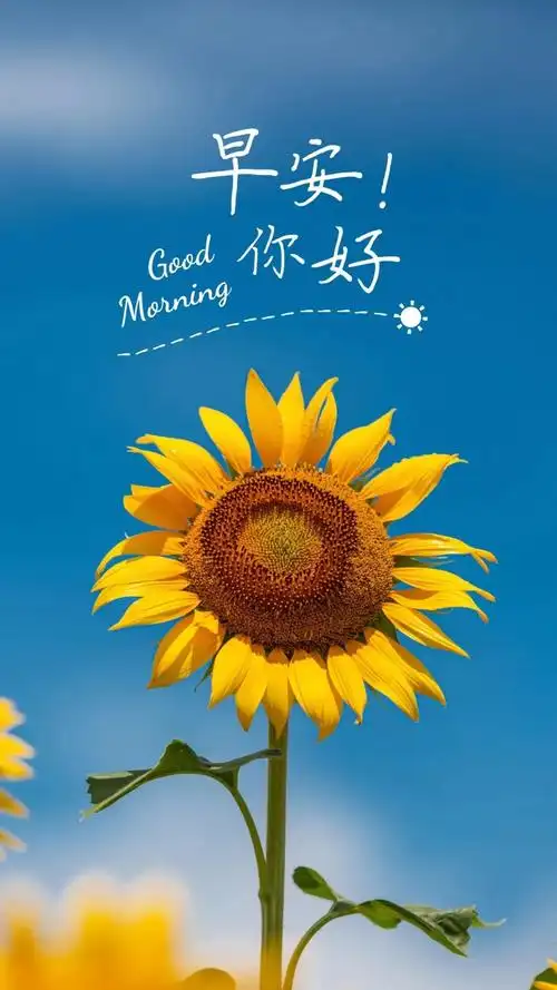 「2021.11.04」早安心语,正能量简短句子语录,精选早上好图片