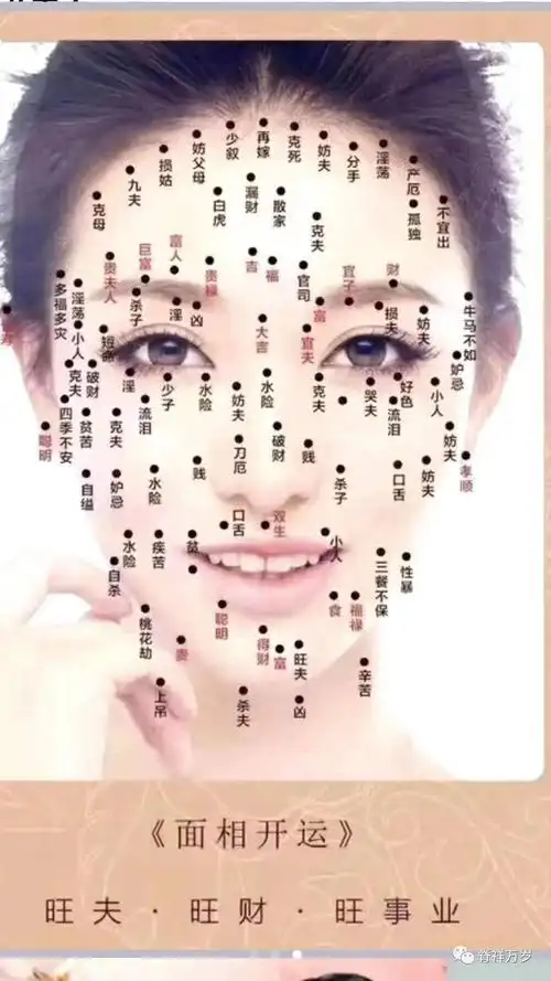 面相学txt,面相学眉毛代表什么,面相学痣