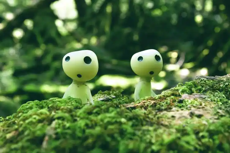 1p #幽灵公主要不要搬到东京