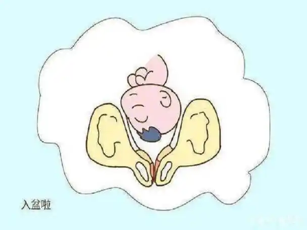 孕妇生产全过程 - 第一,二,三产程宫缩强度与时间 - 佑喜达