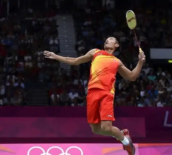 生涯二十载从林一轮到奥运卫冕林丹无愧羽坛第一人