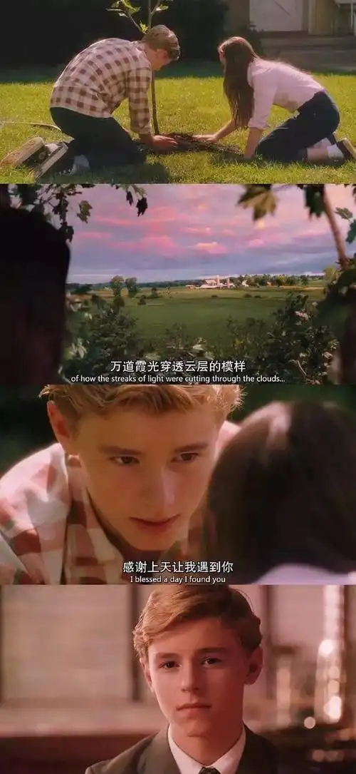 怦然心动电影 手机壁纸 全面屏壁纸 - 堆糖,美图壁纸兴趣社区