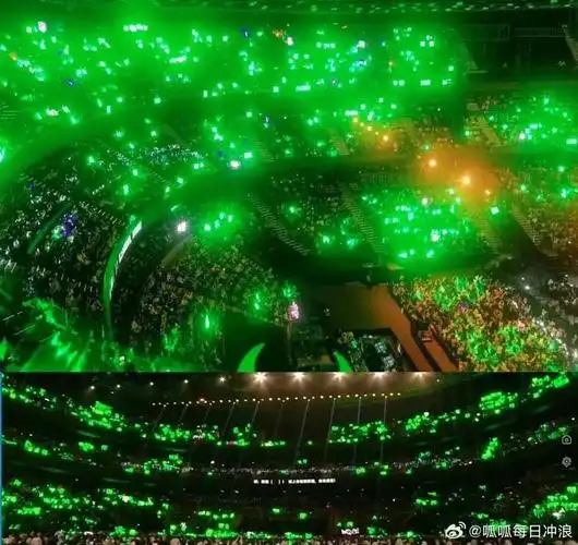 王一博和成毅粉丝晒出的两人上台时的绿海