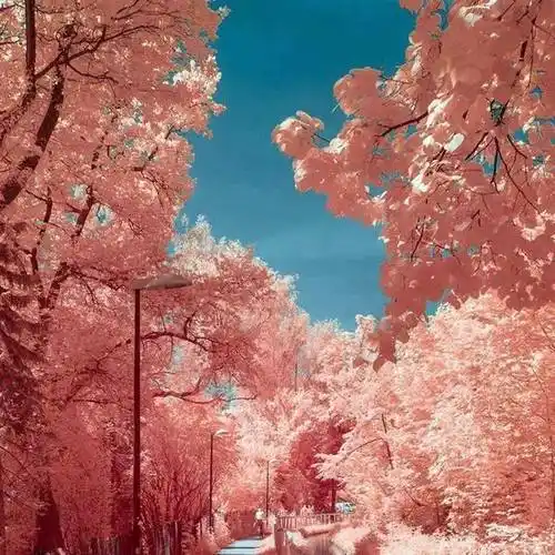 绝美风景微信朋友圈背景图