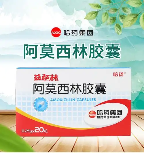 哈药 益萨林 阿莫西林胶囊 0.