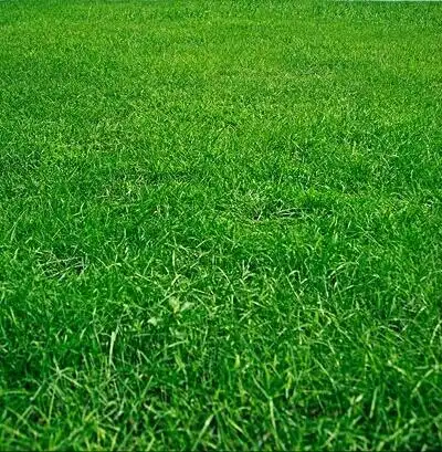 高清微信护眼图