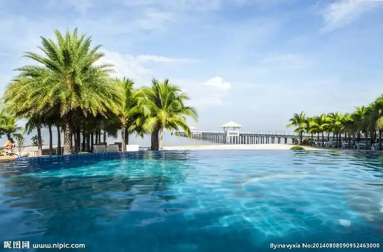 户外游泳池图片