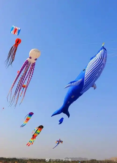 风筝销量一周暴涨498%##为何海洋风筝突然火爆
