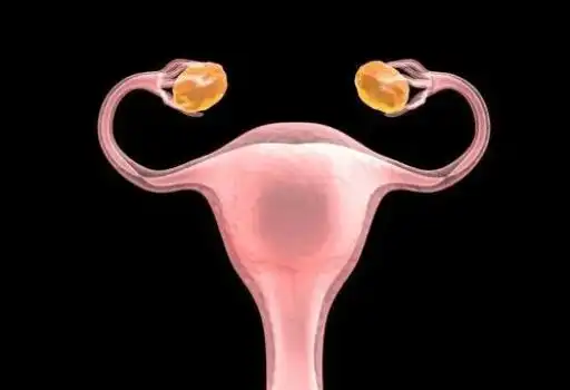 干细胞修复子宫内膜还女性健康子宫成就妈妈梦想