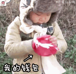 宋民国动态表情包