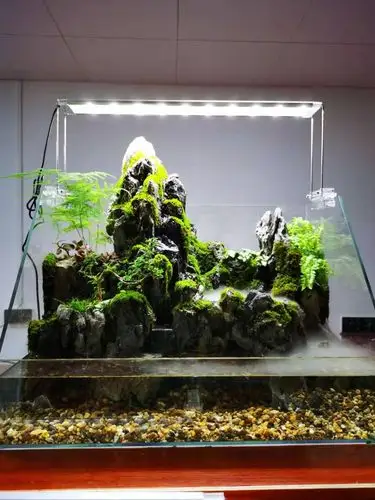 水景鱼缸