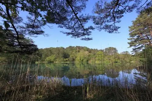 4 mb  jpg)  中等质量  (1200 × 800  246.