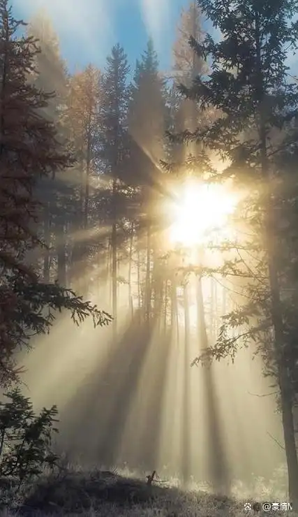 治愈系风景手机壁纸高清唯美意境锁屏壁纸全面屏