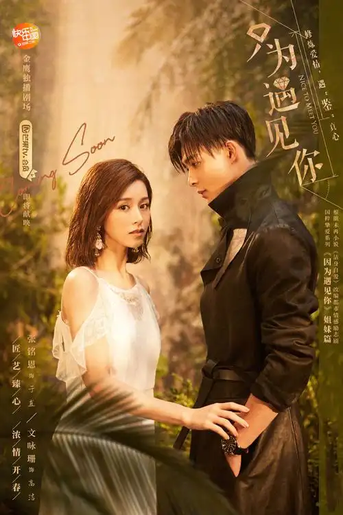 张铭恩文咏珊《只为遇见你》海报图片[3/3]_电视剧_美桌网