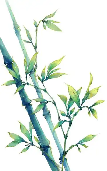 手绘墨绿色竹子