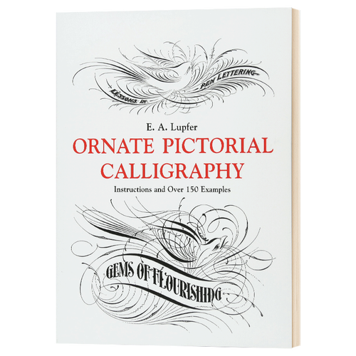花鸟装饰 练字花体字字帖圆体字 英文原版 lupfer ornate pictorial