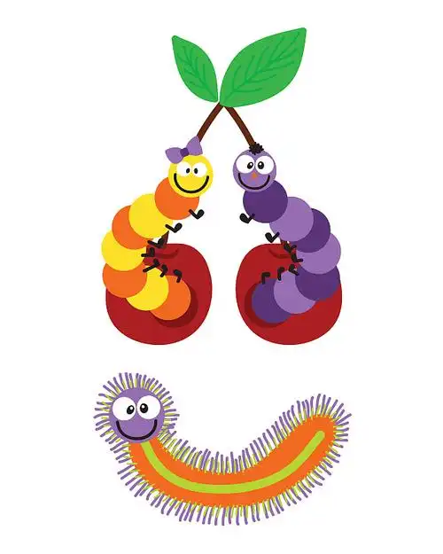 卡通毛毛虫昆虫矢量插图图片下载