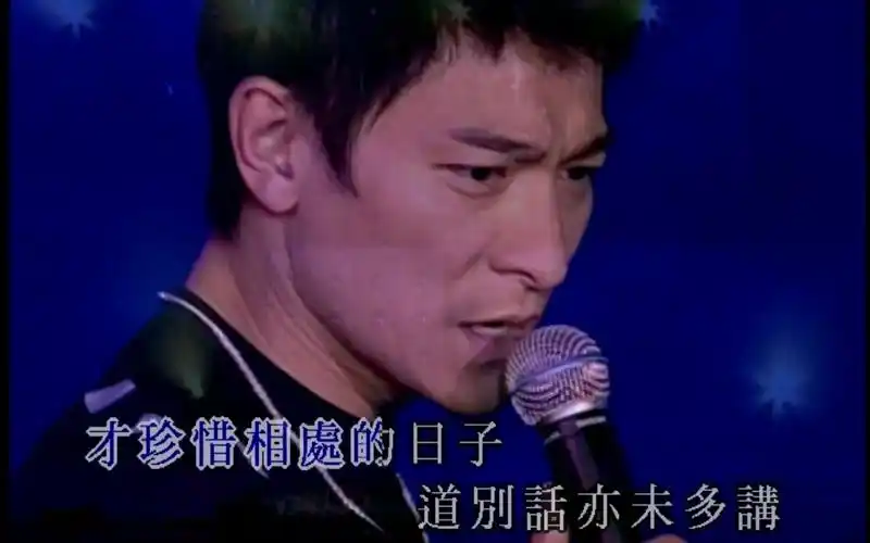 刘德华-一起走过的日子-伴奏-2002你是我的骄傲演唱会