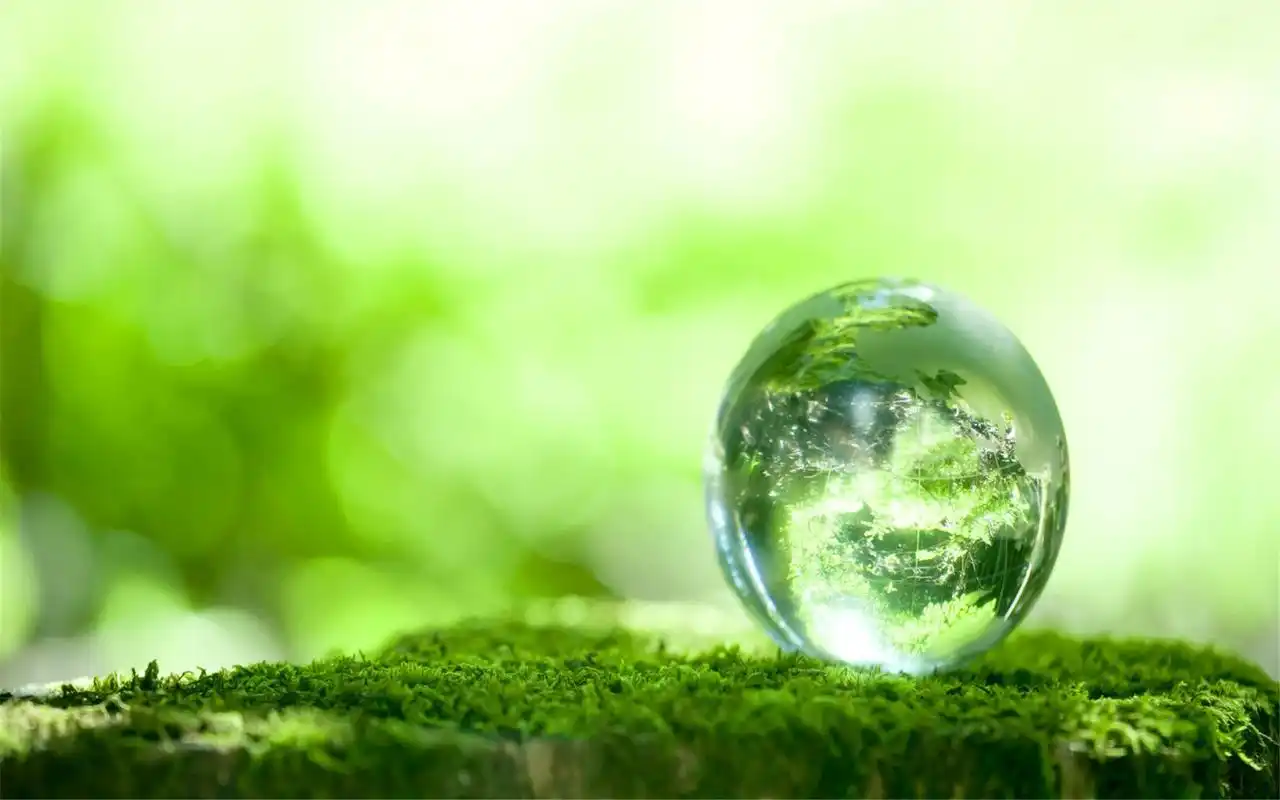 小清新风格静物简洁淡雅桌面壁纸