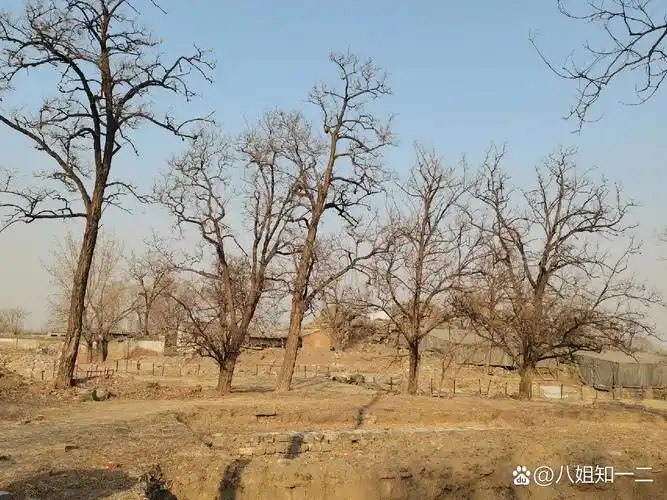 探秘圆明园遗迹之紫碧山房 紫碧山房位于圆明园西北隅,初步建成于雍正