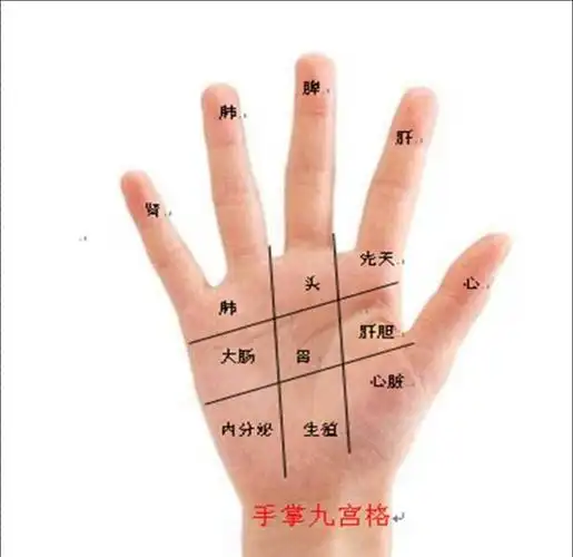手相与健康研究