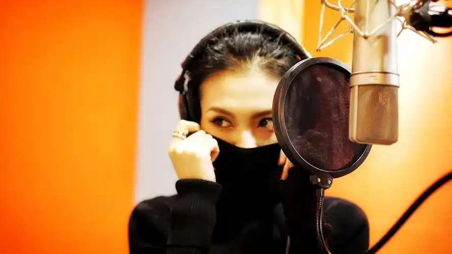 中国好声音第二季 毕夏