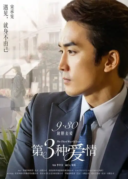 第三种爱情发布情非得已版海报