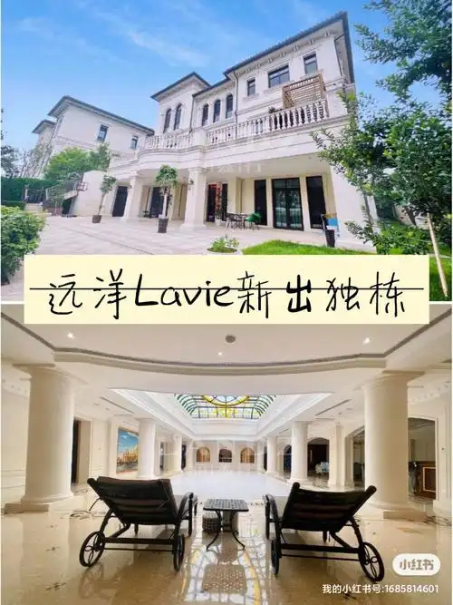 远洋lavie出房啦豪装独栋
