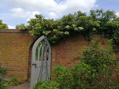 英国乡村花园～沃顿老庄园(20170601)