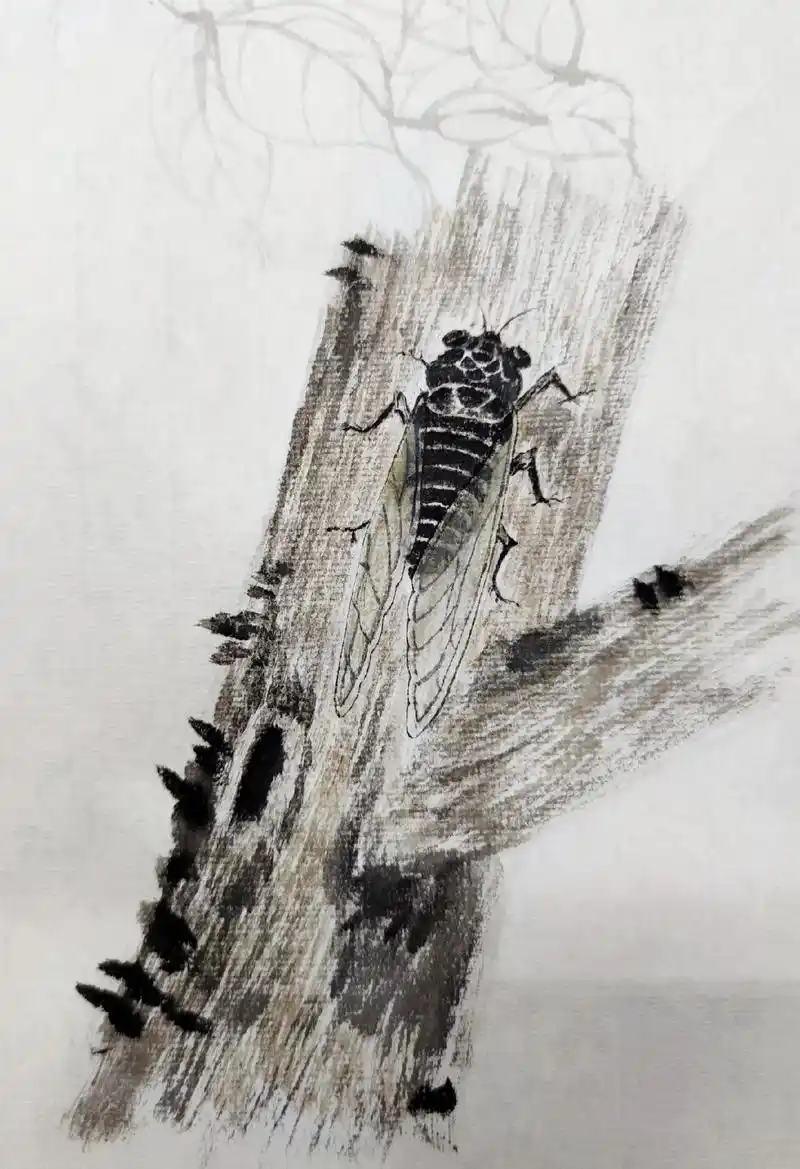 国画 #工笔蝉#因为热爱所以坚持 #每日一画 # - 抖音