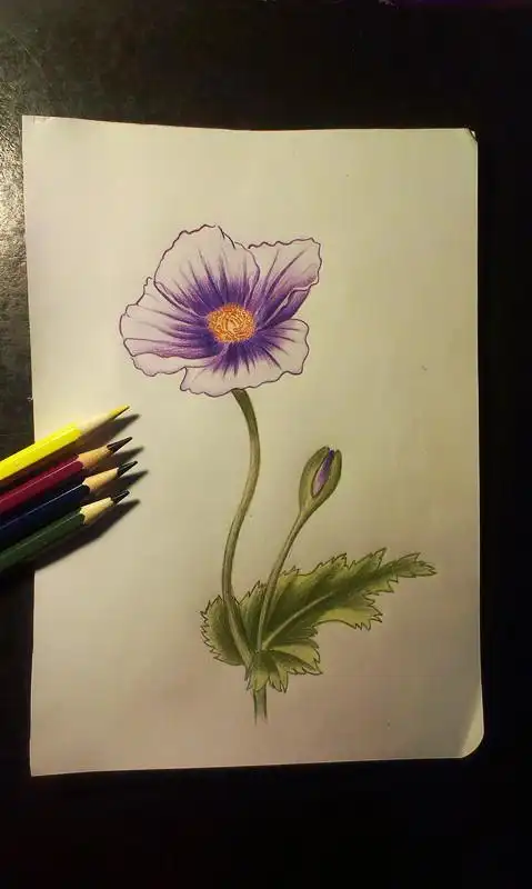 第8页初中生彩铅画简笔画图片大全内容有初中生彩铅绘画作品绘画