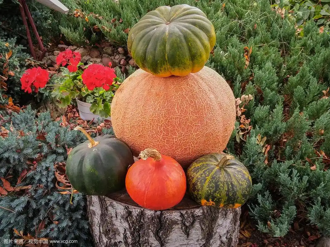 各式各样的南瓜堆在一起.